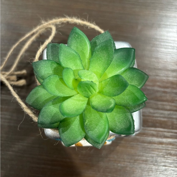 Blue Retro Camera with Fake Succulent Hanging Decor - Picture 6 of 7